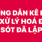 HƯƠNG DẪN KÊ KHAI VÀ XỬ LÝ HÓA ĐƠN SAI SÓT ĐÃ LẬP SAI